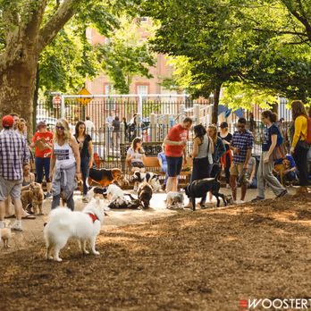 Seger Dog Park photo 2